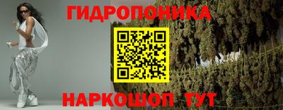шишки Кулебаки